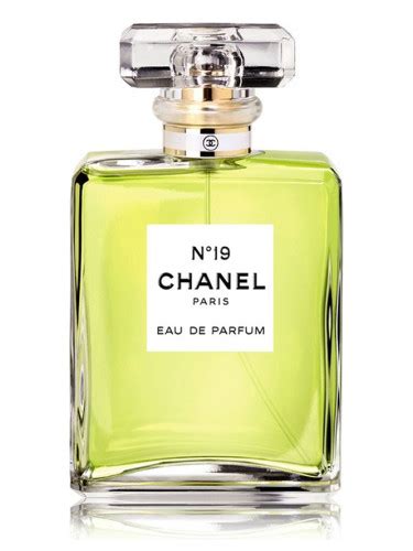 douglas chanel 19 eau de parfum|Chanel perfume for women.